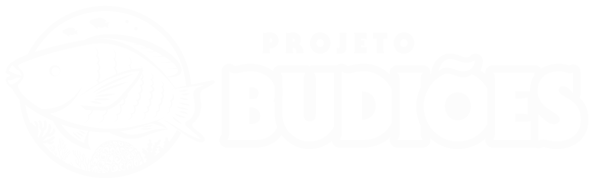 Projeto Budiões