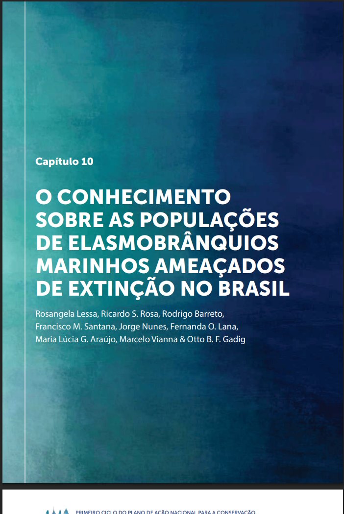 O conhecimento sobre as populações de elasmobrânquios marinhos ameaçados de extinção no Brasil