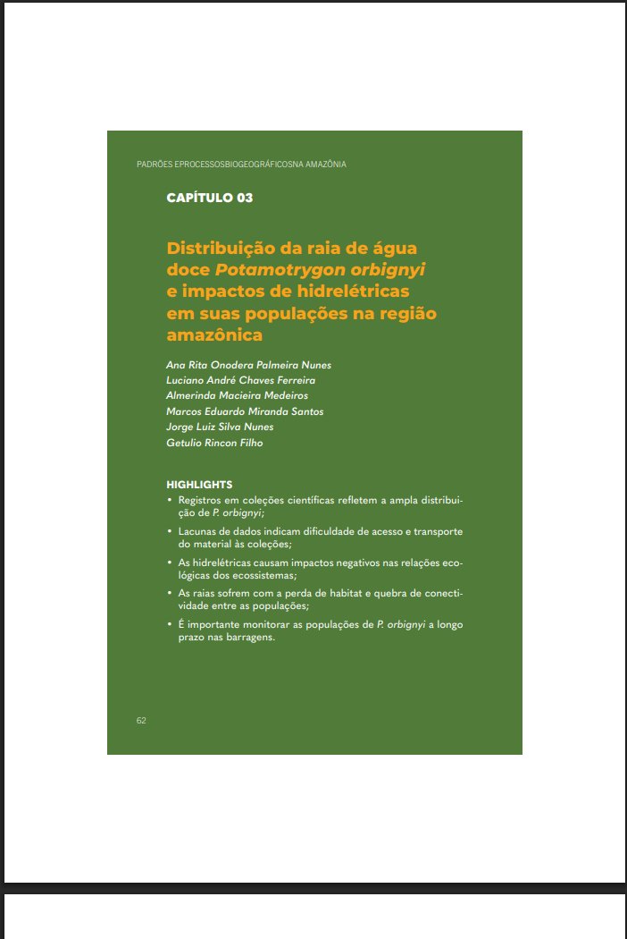Distribuição da raia de água doce Potamotrygon orbignyi e impactos de hidrelétricas em suas populações na região amazônica